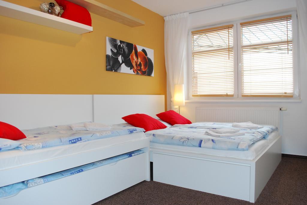 Apartmany Rokytka U Sjezdovky ロキトニツェ・ナト・イゼロウ 部屋 写真